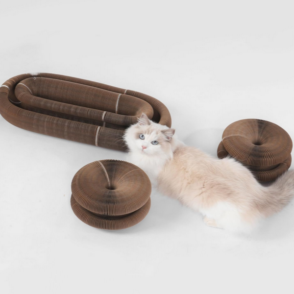 FangSpaß™ - Interaktives Katzenspielzeug