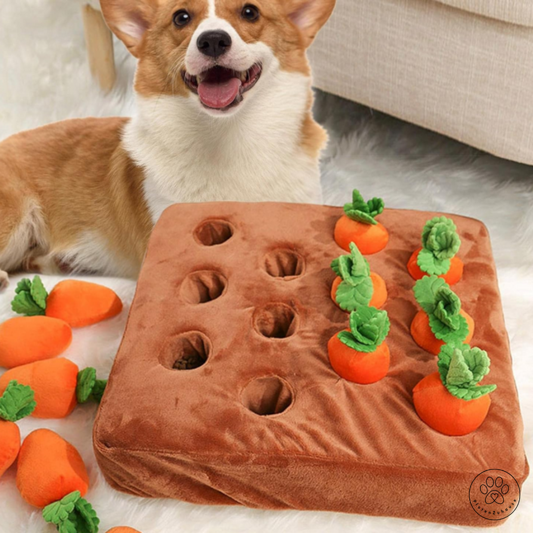 PfotenZuhause™ Karotten-Feld