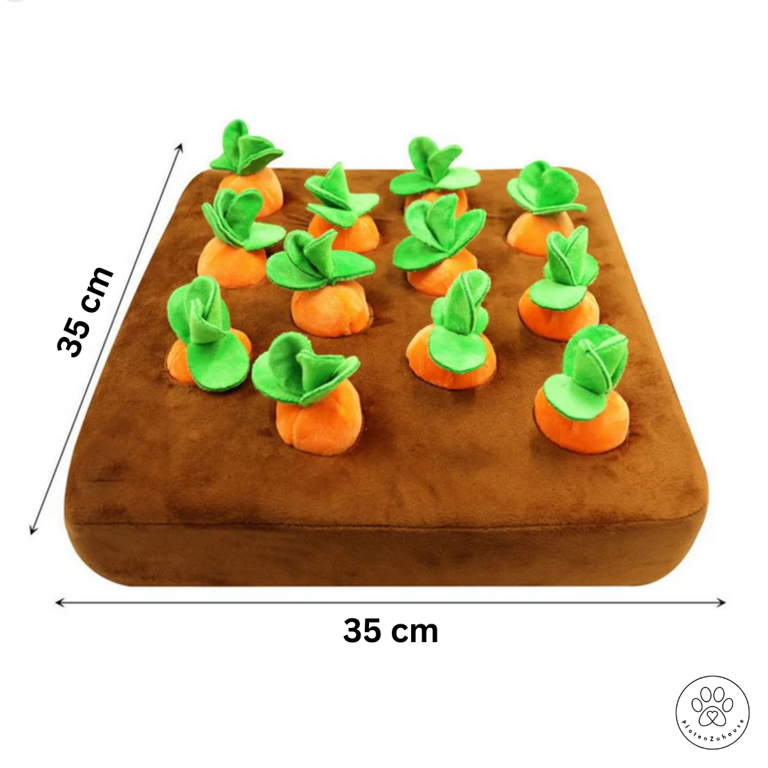 PfotenZuhause™ Karotten-Feld