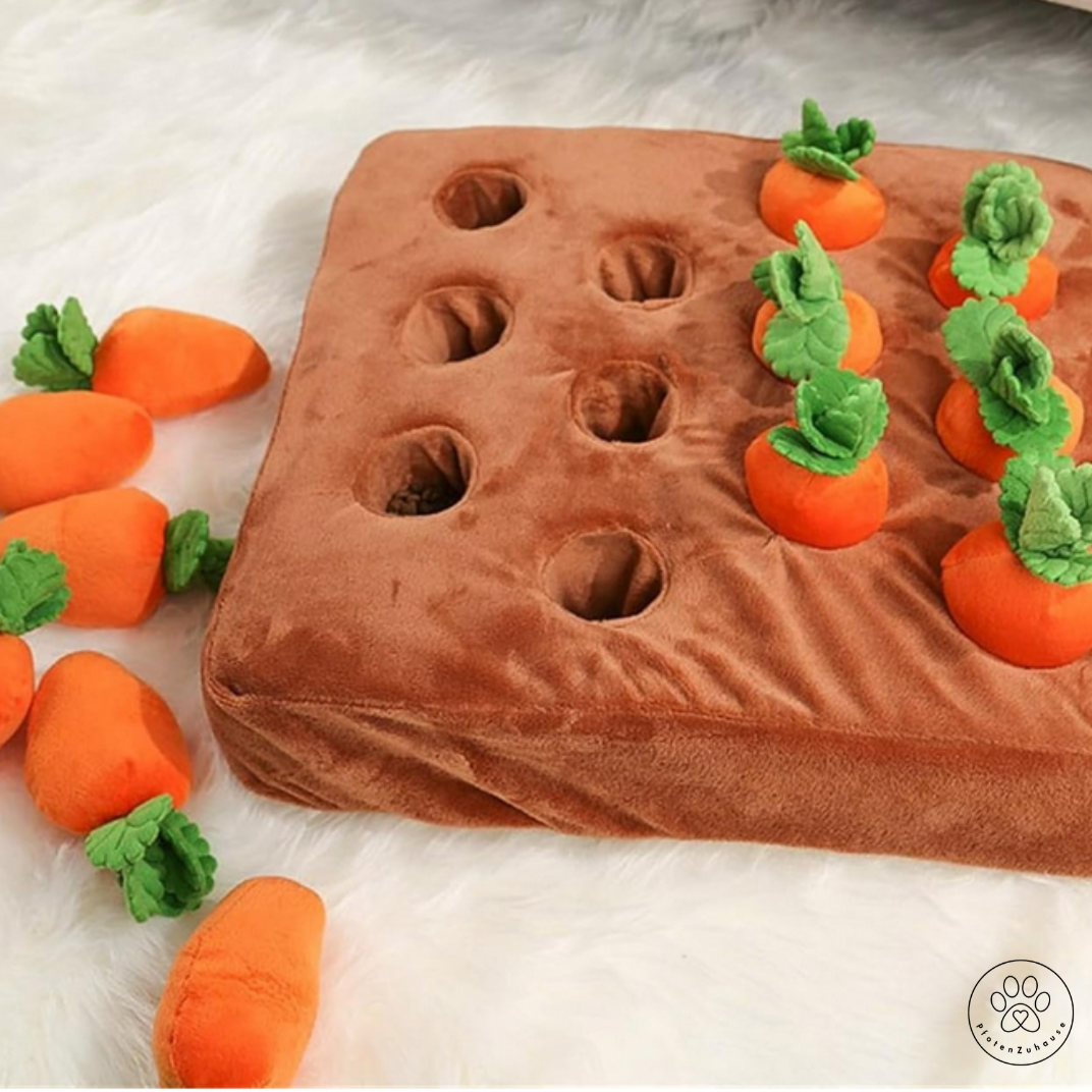 PfotenZuhause™ Karotten-Feld