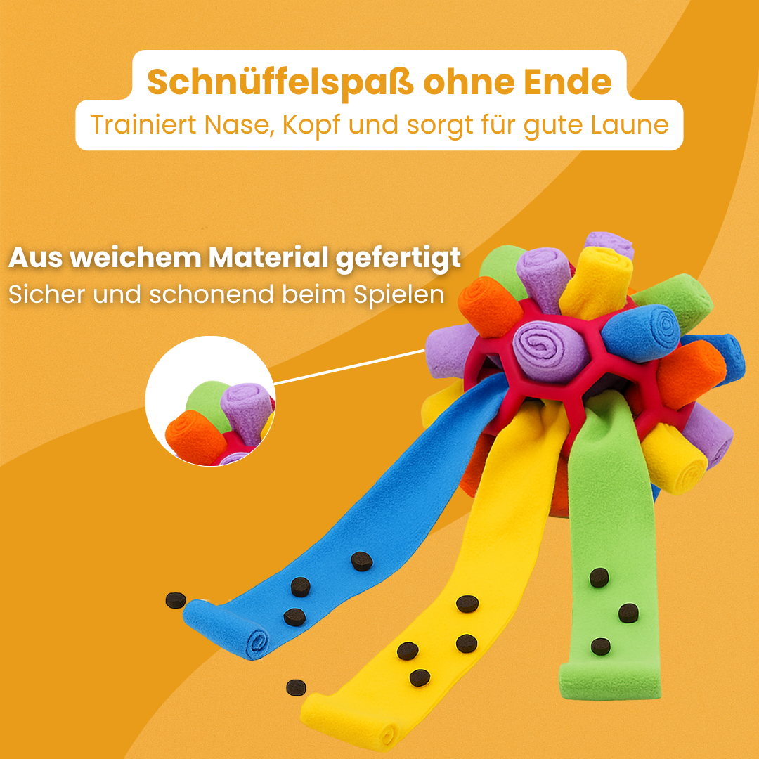 PfotenZuhause™ Schnüffelwunder