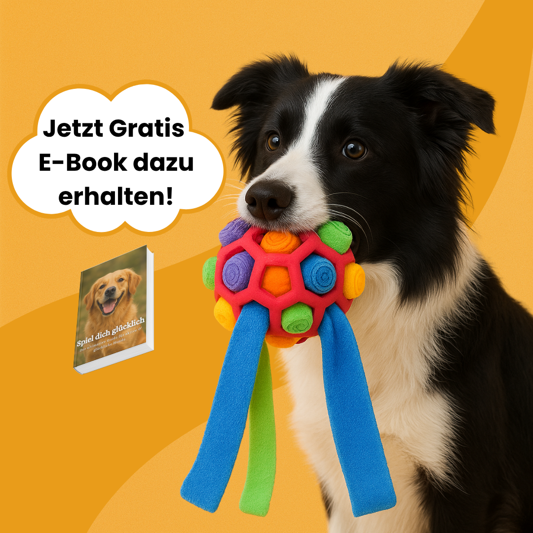 PfotenZuhause™ Schnüffelwunder