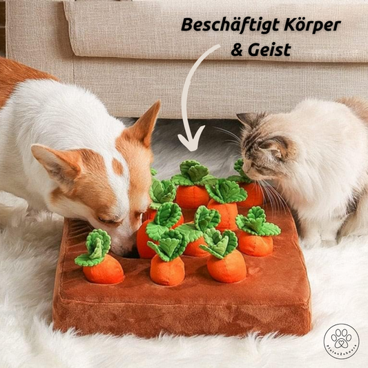 PfotenZuhause™ Karotten-Feld