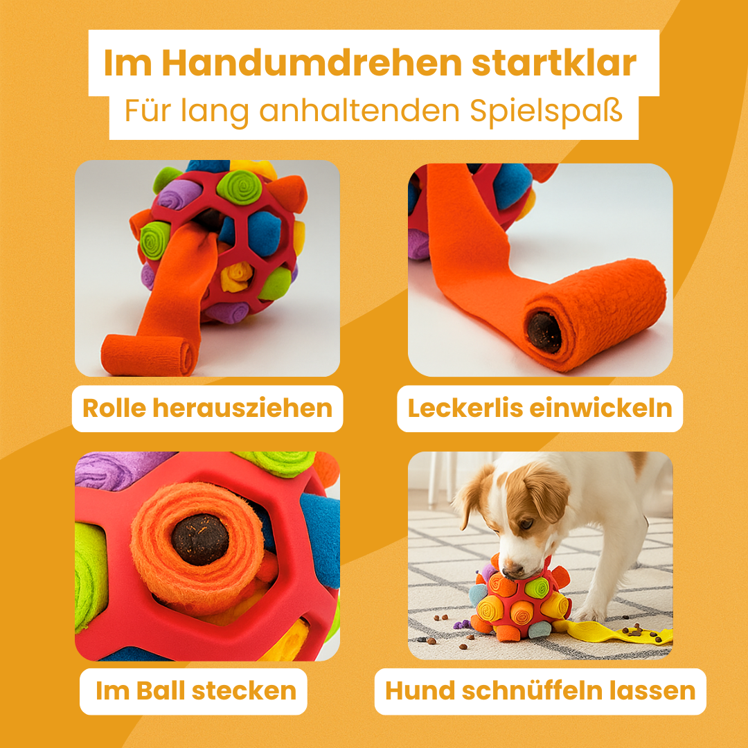 PfotenZuhause™ Schnüffelwunder