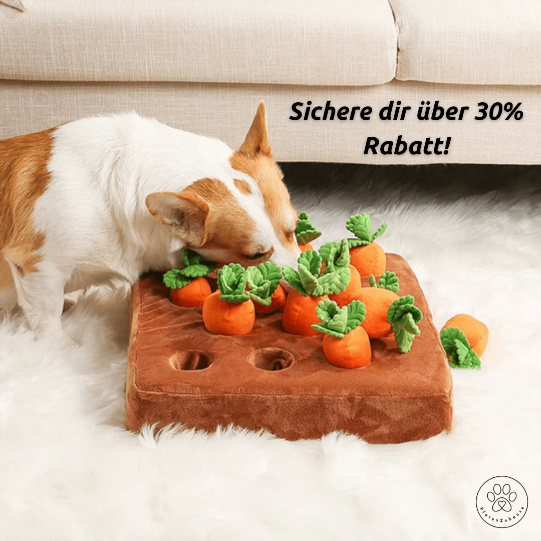 PfotenZuhause™ Karotten-Feld