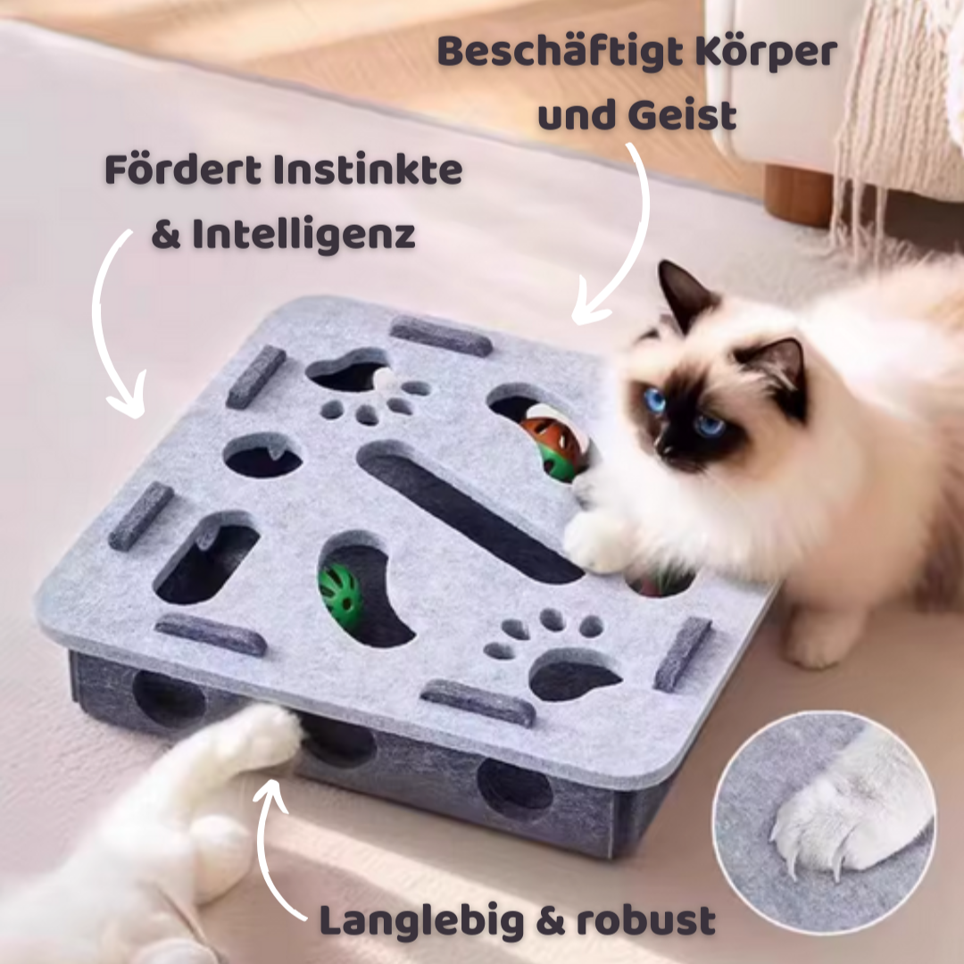 PfotenFreude™ Interaktives Katzenspielzeug