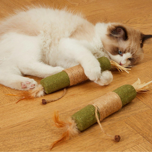 PfotenZuhause™ Natürlicher Katzenstick